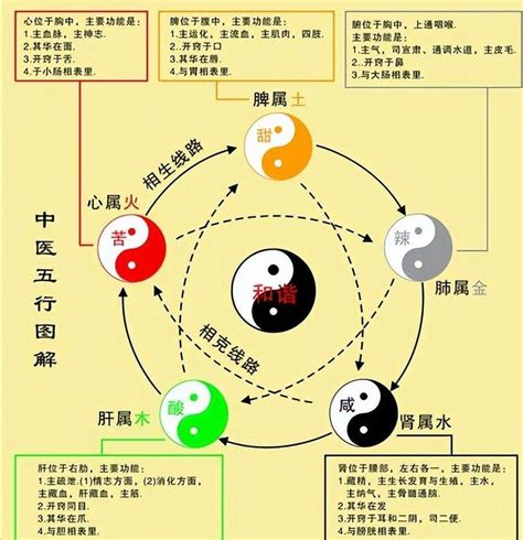 五行能量|《易经》中的五行